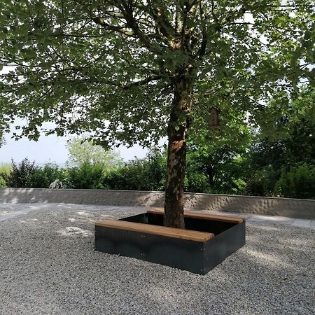 Ferienwohnung Schuhmann Mit Wintergarten Und Garten Therme Aquapulco Und Ikuna Erlebnispark, Zoo Schmiding 20 Min Mit Auto Entfernt Ab 3 Naechte Buchbar Hinzenbach Exteriér fotografie