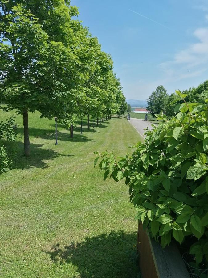 Ferienwohnung Schuhmann Mit Wintergarten Und Garten Therme Aquapulco Und Ikuna Erlebnispark, Zoo Schmiding 20 Min Mit Auto Entfernt Ab 3 Naechte Buchbar Hinzenbach Exteriér fotografie