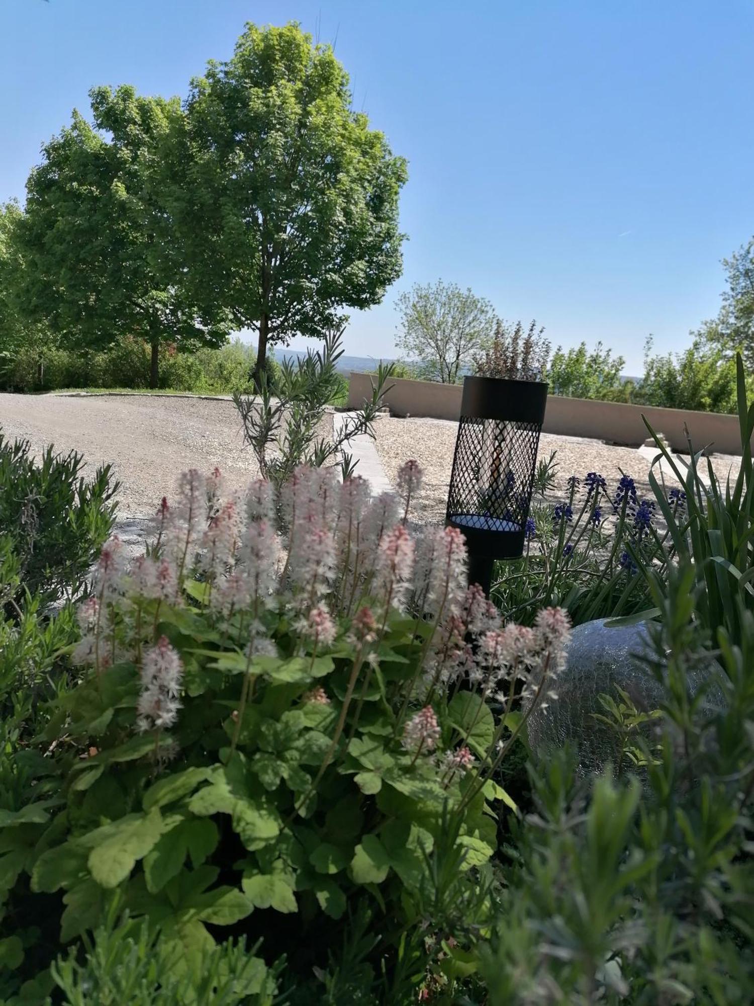 Ferienwohnung Schuhmann Mit Wintergarten Und Garten Therme Aquapulco Und Ikuna Erlebnispark, Zoo Schmiding 20 Min Mit Auto Entfernt Ab 3 Naechte Buchbar Hinzenbach Exteriér fotografie